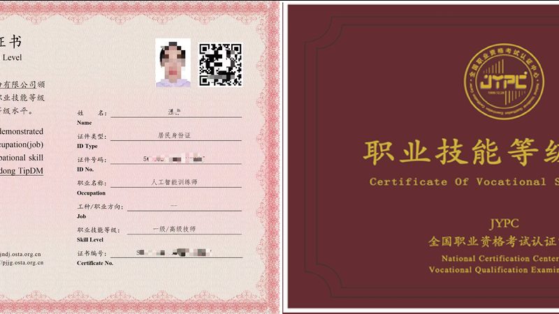 上海AI算法定制，价格背后的考量因素